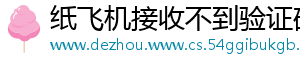 纸飞机接收不到验证码
